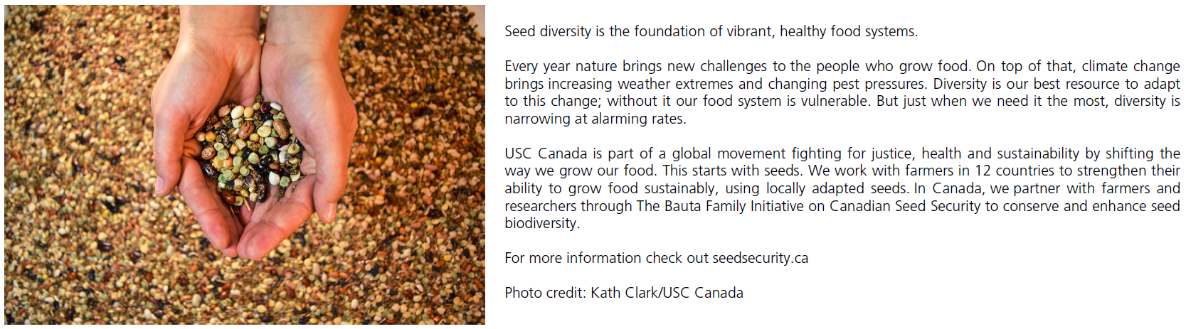 cupped hands holding seeds. photo credit: kath clark/usc canada