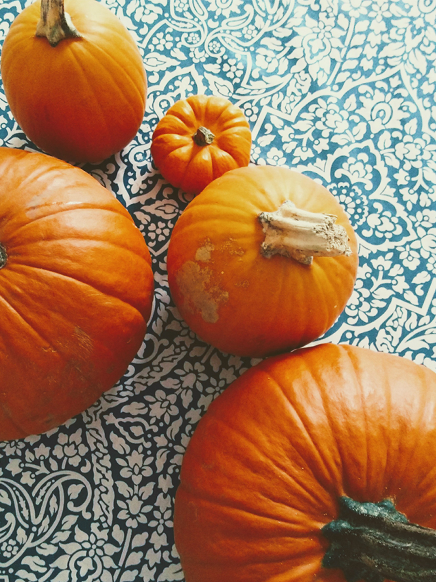cover image of pumpkins for the current issue of Canadian Food Studies