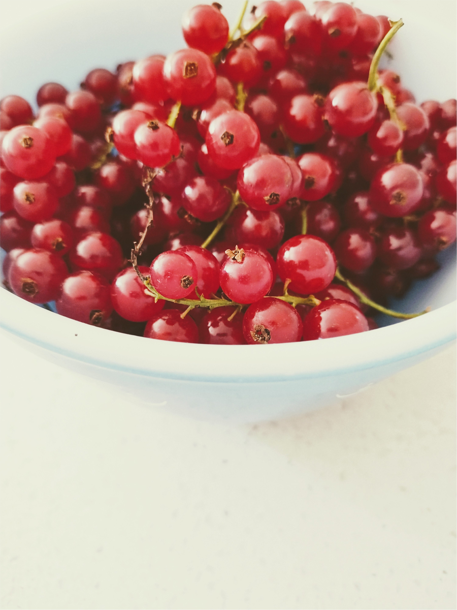 red currants in a small blue bowl on a white counter